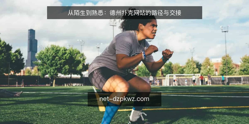 从陌生到熟悉:德州扑克网站的路径与交接 — 初入牌桌:信息过载与选择困惑 配图