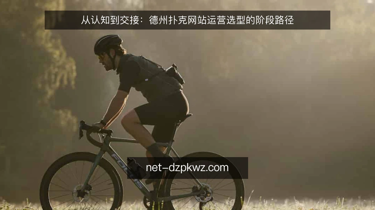 从认知到交接：德州扑克网站运营选型的阶段路径