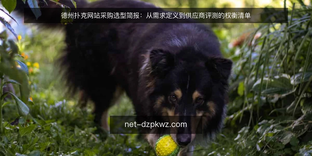 德州扑克网站采购选型简报：从需求定义到供应商评测的权衡清单 — 先定义使用边界，再谈网站选型 配图