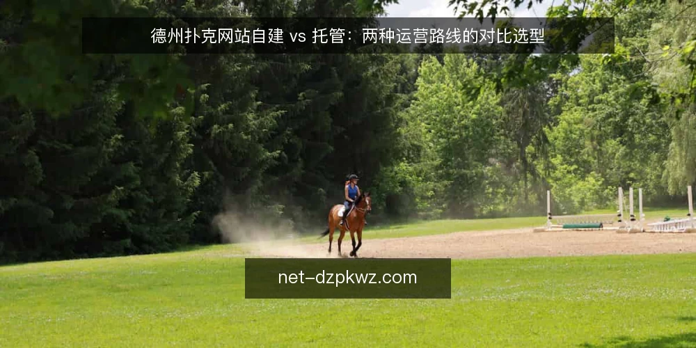德州扑克网站自建 vs 托管：两种运营路线的对比选型 — 先定评估标准 配图
